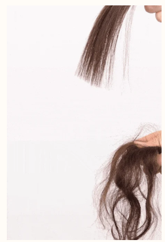 Snipaste_2026-03-11_16-35-47